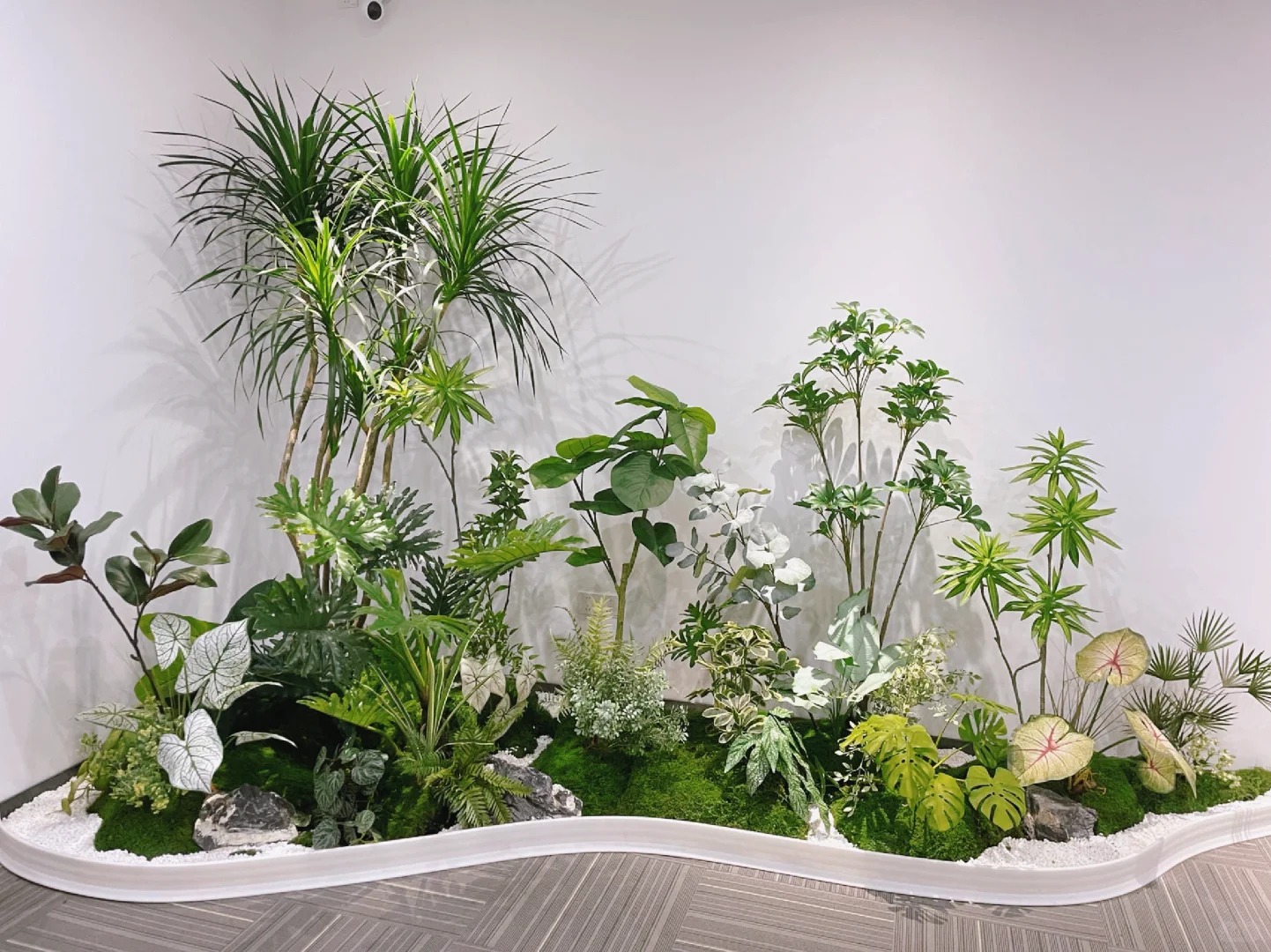 专业植物租赁,宁波余姚绿植美化空间首选